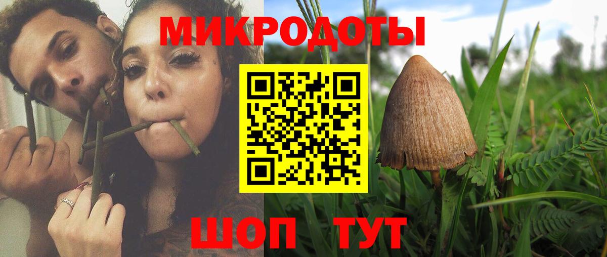 Галлюциногенные грибы мухоморы Коркино