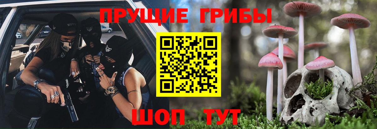 Коркино  Галлюциногенные грибы Psilocybine cubensis  Вход с VPN 